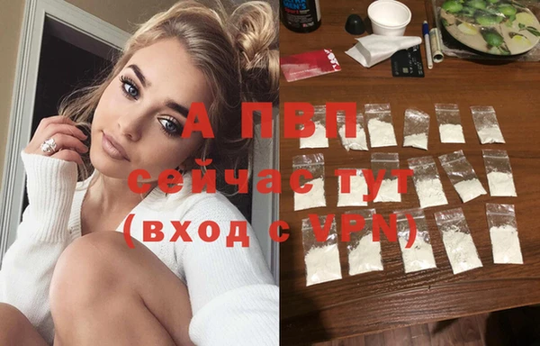 тгк Новокубанск