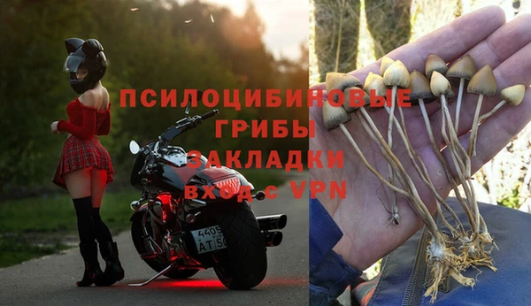 тгк Новокубанск