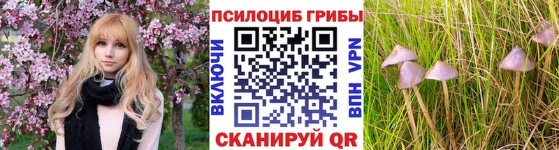 Галлюциногенные грибы мицелий  Печоры 